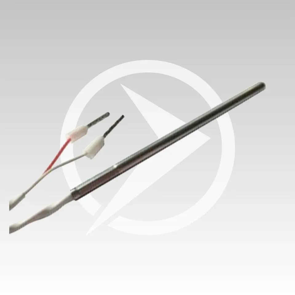AMR Top SNDF010 sonda fumi NTC 10K 100 mm 2 m