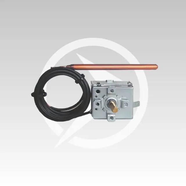 Kausiflam KEVC001 termostato stufe pellet Poma Lorry