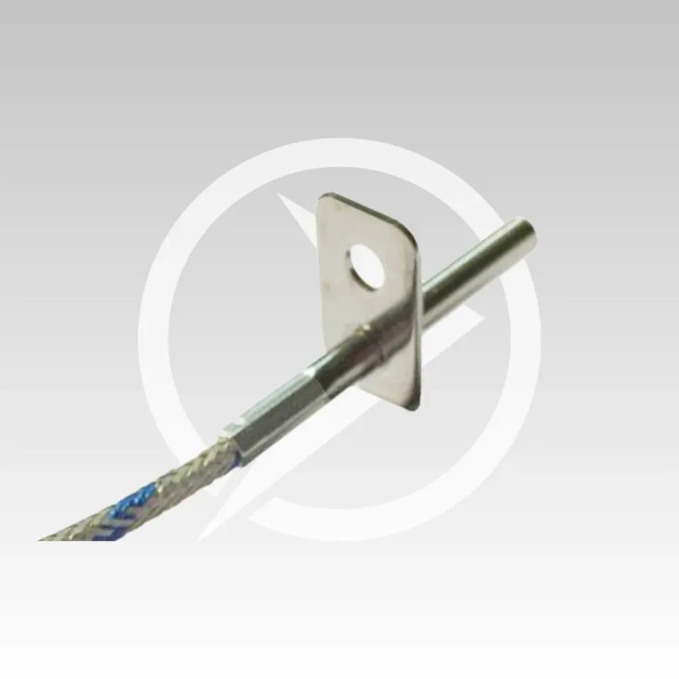 Termocoppia J SNDF002 flangiata capsula 40 mm 1 m