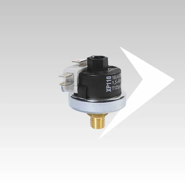 XP110 PCQ006 pressostato acqua regolabile 1/4 gas